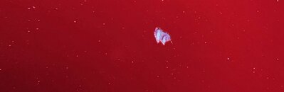 20230730_120820.jpg