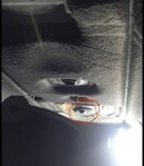 IMG_1331.jpeg