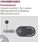 IMG_4342.jpeg