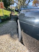 IMG_20231002_124619244.jpg