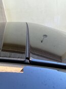IMG_3193.jpeg