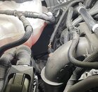 IMG_6980.jpeg