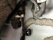 IMG_2485.jpeg