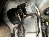 IMG_2487.jpeg
