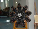 ar 126.JPG