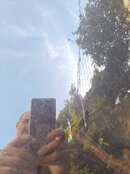 IMG_20231030_161349.jpg