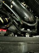 IMG_20231104_172945.jpg