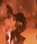 200.gif 200.gif