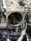 IMG_3787.jpeg