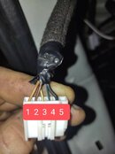 IMG_20231222_180554.jpg