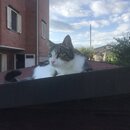 IMG_5536.jpeg