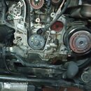 IMG_20231228_154425.jpg