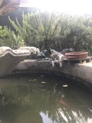 IMG_5455.jpeg