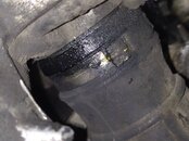 IMG_20240202_181716.jpg