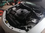 IMG_20240223_112947.jpg