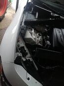 IMG_20240223_112954.jpg