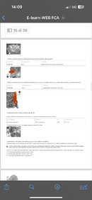 IMG_7557.png