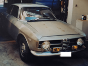 GT Junior colore originale ClubAlfa.png