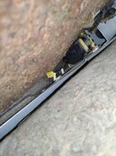 IMG_20240326_213317.jpg