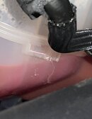 IMG_6331.jpeg