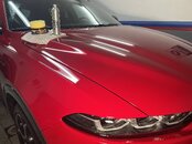 IMG_0376.jpeg