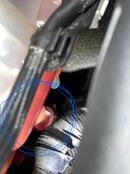 IMG_6970.jpeg