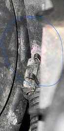 IMG_6964.jpeg