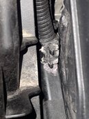 IMG_7104.jpeg
