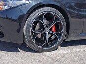 PXL_20240407_114803324.MP.jpg