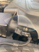 IMG_2259.jpeg