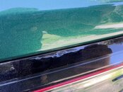 IMG_2416.jpg