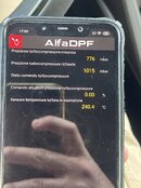 IMG_7204.jpeg