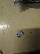 20240424_163003.jpg