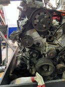 IMG_2901.jpeg