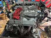 IMG_2846.jpeg