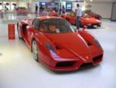 Enzo.jpg