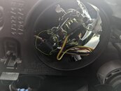 PXL_20240513_154435839.jpg