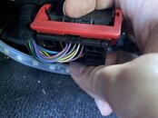 IMG_9881.jpeg