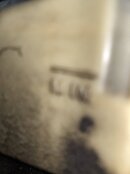 IMG_3527.jpeg