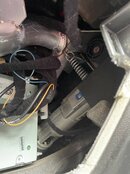 IMG_9900.jpeg