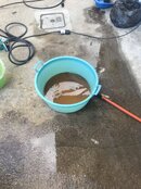 IMG_1522.JPG
