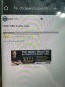 IMG_0240.jpeg