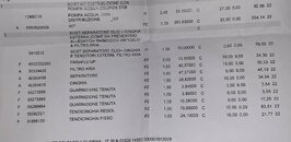 IMG_0245.jpeg