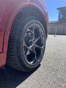 IMG_8140.jpeg