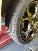 IMG_4238.jpeg