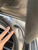 IMG_8581.jpeg