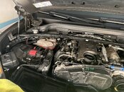 IMG_0400.jpeg