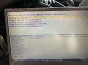 IMG_7169.jpeg
