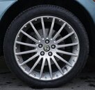 IMG_20241204_091217.jpg