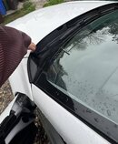 IMG_7289.jpeg